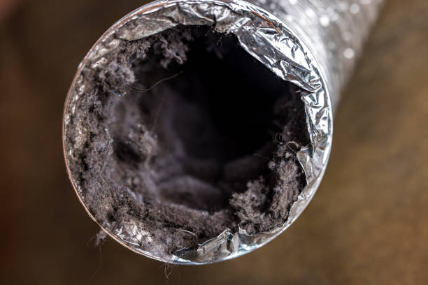 Best Emergency Air Duct Cleaning  in Woodbine, NJ