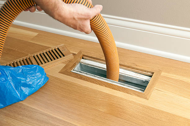Best Local Air Duct Cleaning Services  in Woodbine, NJ